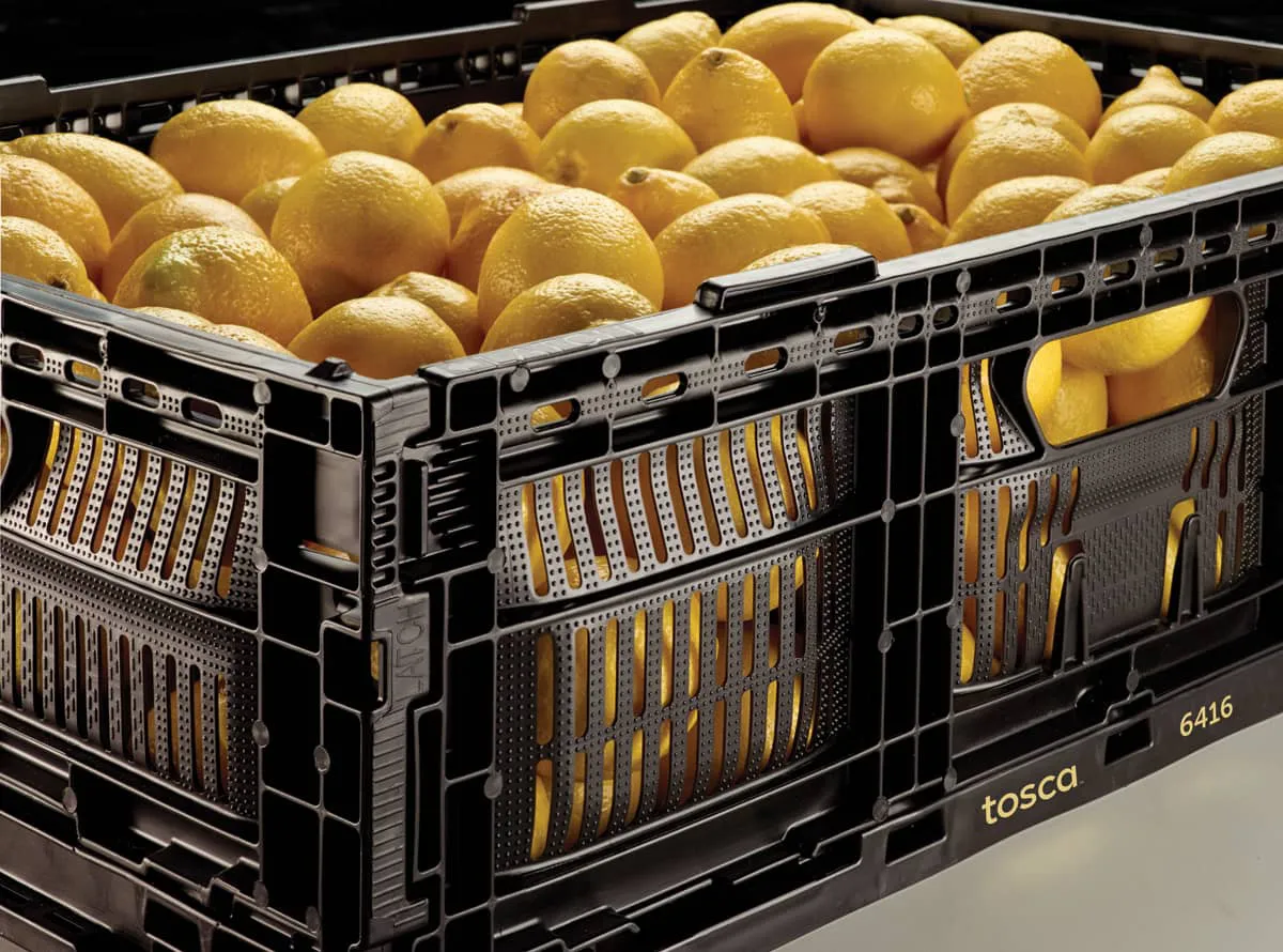 Oranges in a Tosca reusable crate